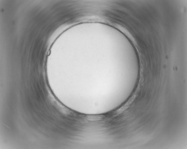 X0000052611440200507221648