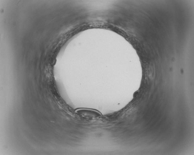 X0000052611445200507221647