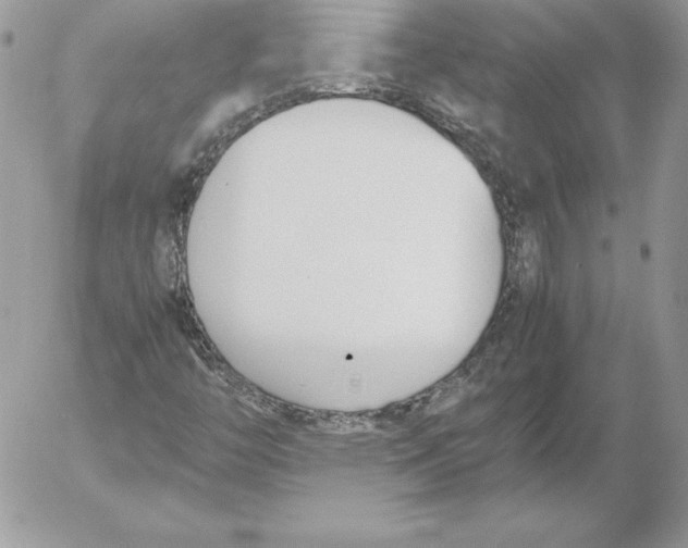 X0000052611446200507221647