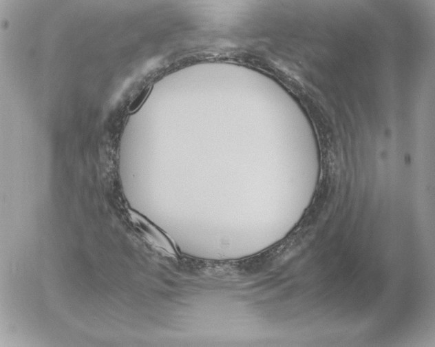 X0000052611447200507221647