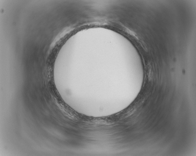 X0000052611448200507221647