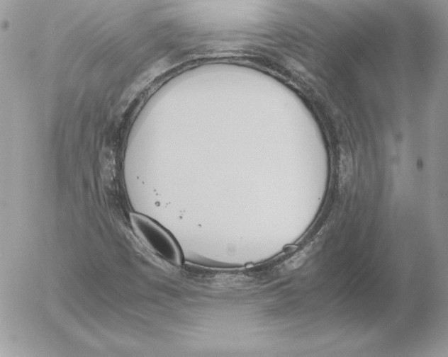 X0000052611449200507221647