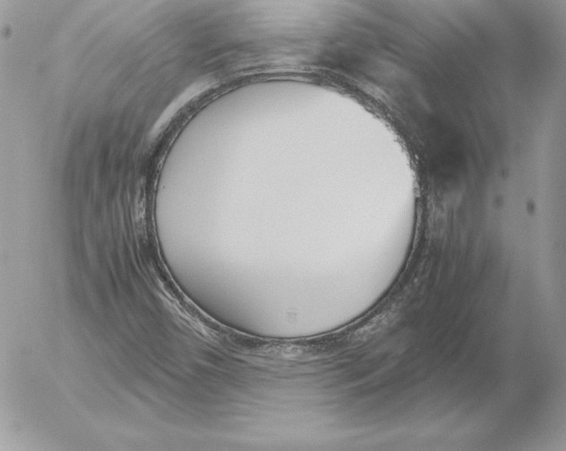 X0000052611450200507221647