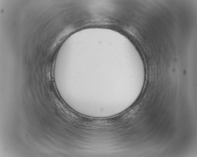 X0000052611451200507221647