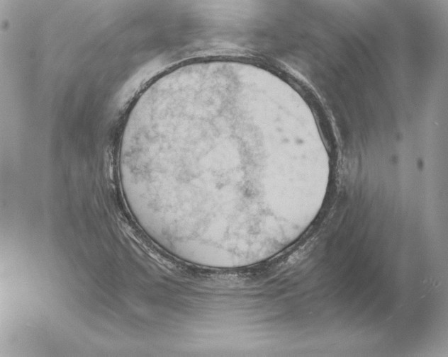 X0000052611455200507221647