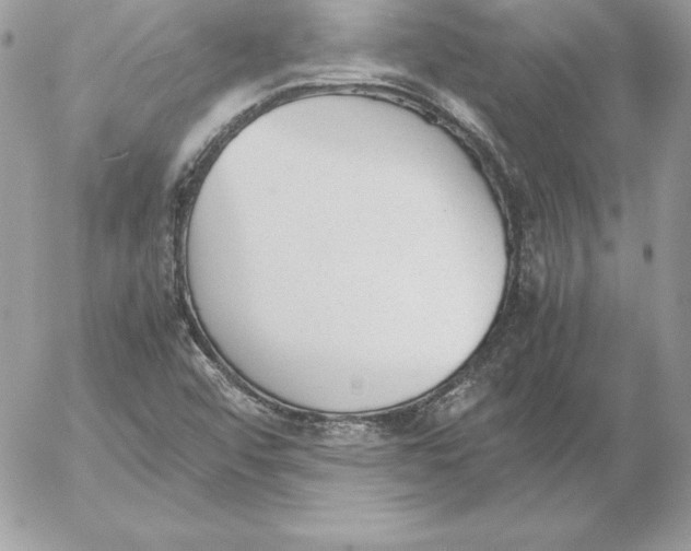 X0000052611456200507221647