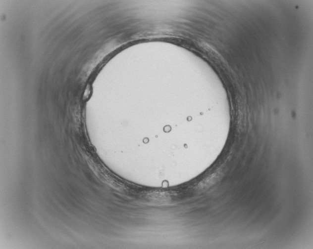 X0000052611457200507221647