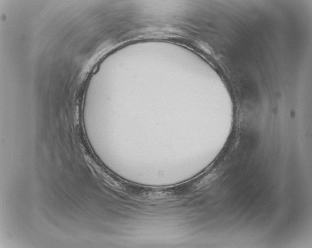 X0000052611459200507221647