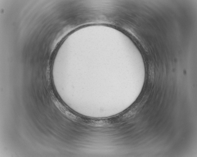 X0000052611460200507221647