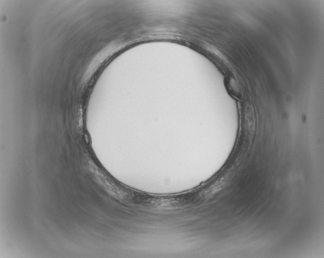 X0000052611461200507221647