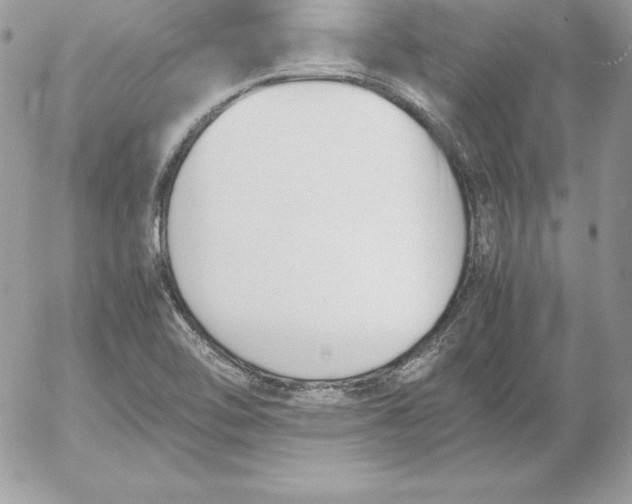 X0000052611462200507221647