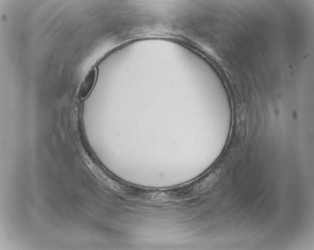 X0000052611463200507221647