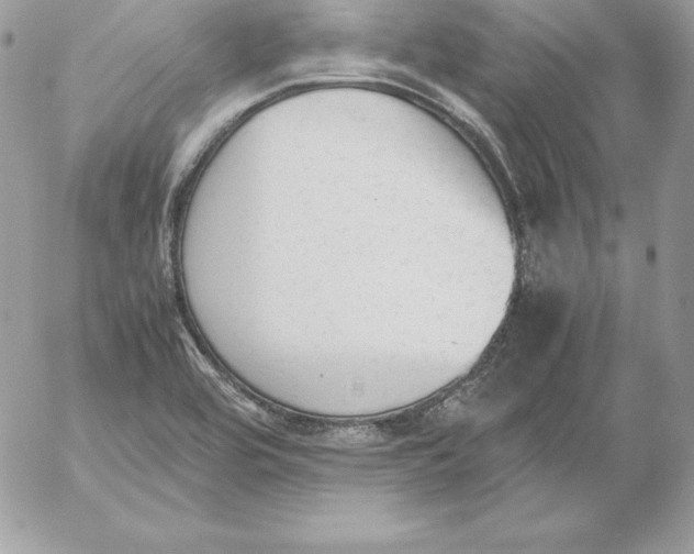 X0000052611464200507221647