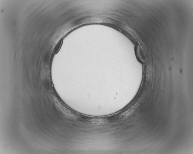 X0000052611465200507221647