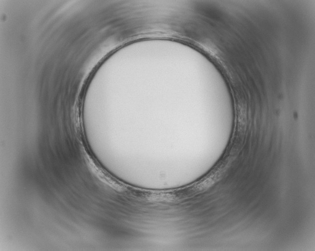 X0000052611466200507221647