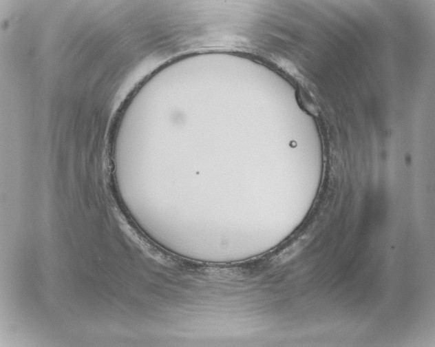 X0000052611469200507221647