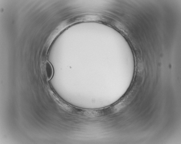 X0000052611473200507221647