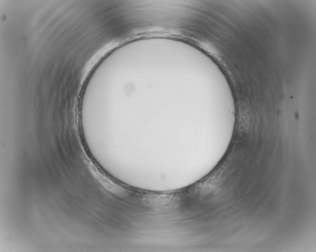 X0000052611474200507221647