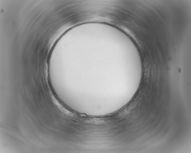 X0000052611476200507221647