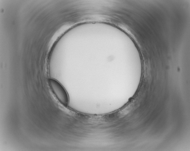 X0000052611477200507221647