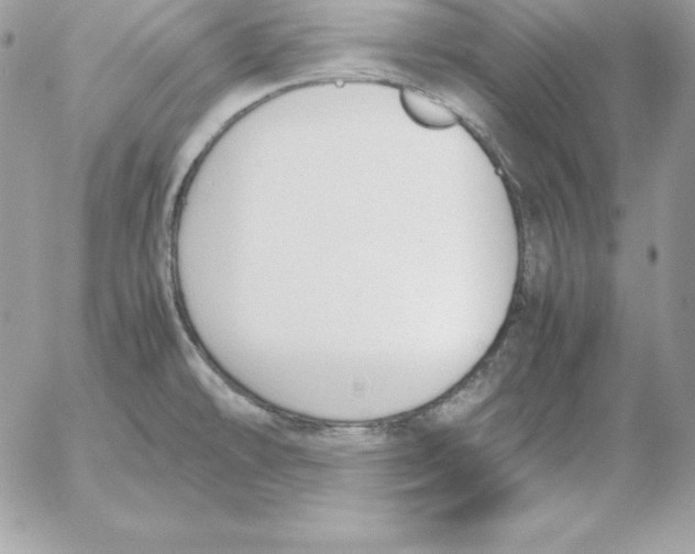 X0000052611478200507221647