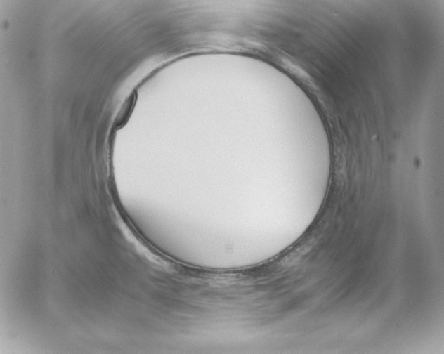 X0000052611479200507221646