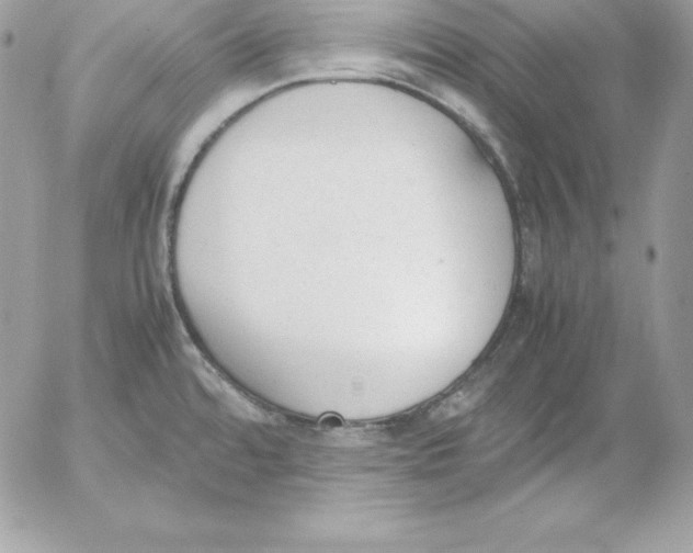 X0000052611480200507221646