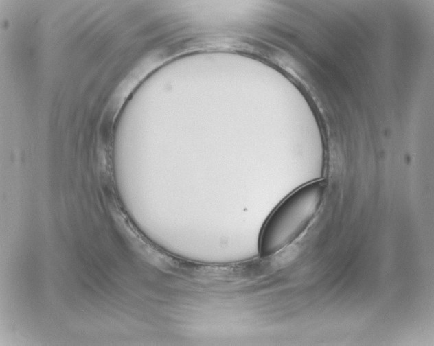 X0000052611481200507221646