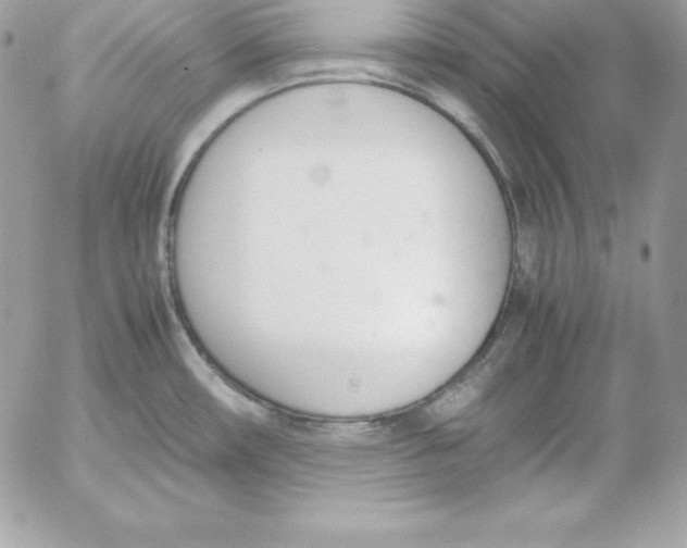 X0000052611482200507221646