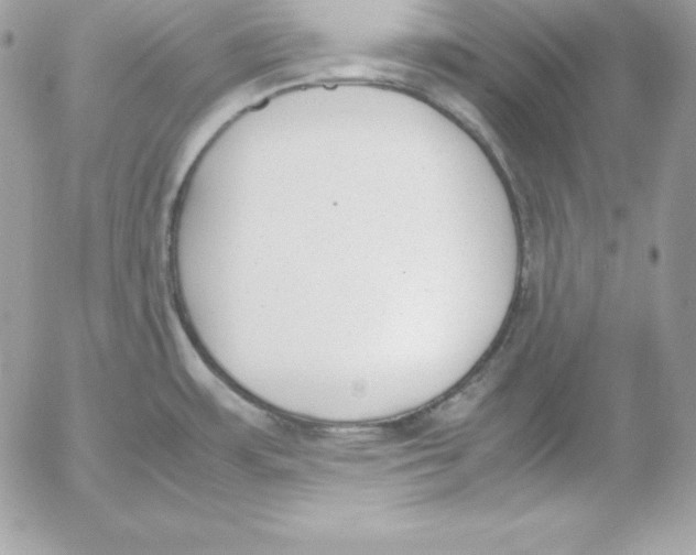 X0000052611483200507221646