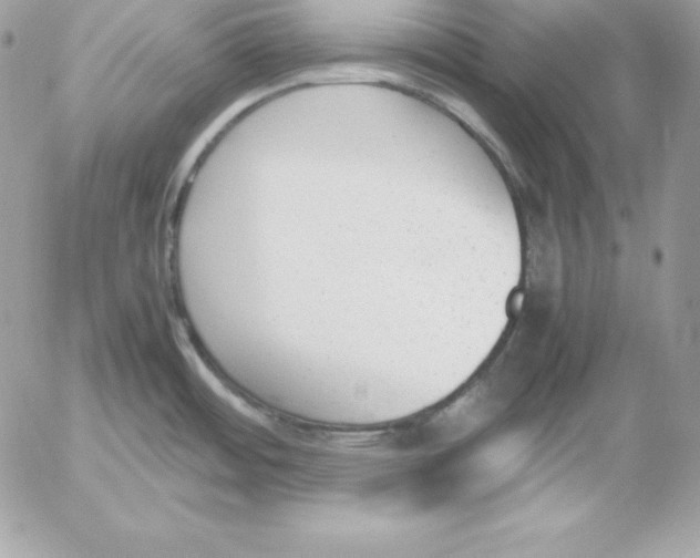 X0000052611484200507221646