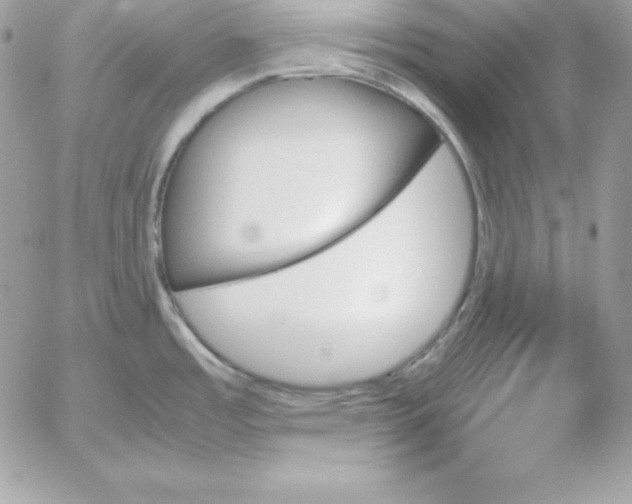 X0000052611485200507221646