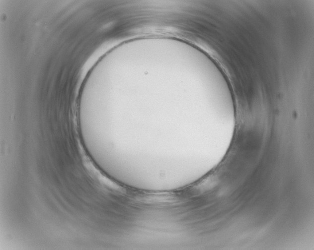 X0000052611486200507221646