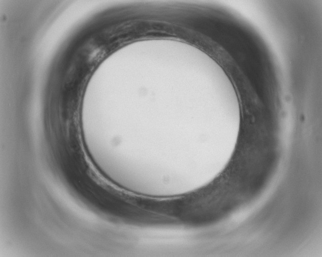 X0000052611487200507221646