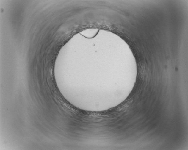 X0000052611489200507221646