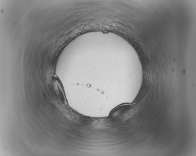 X0000052611490200507221646