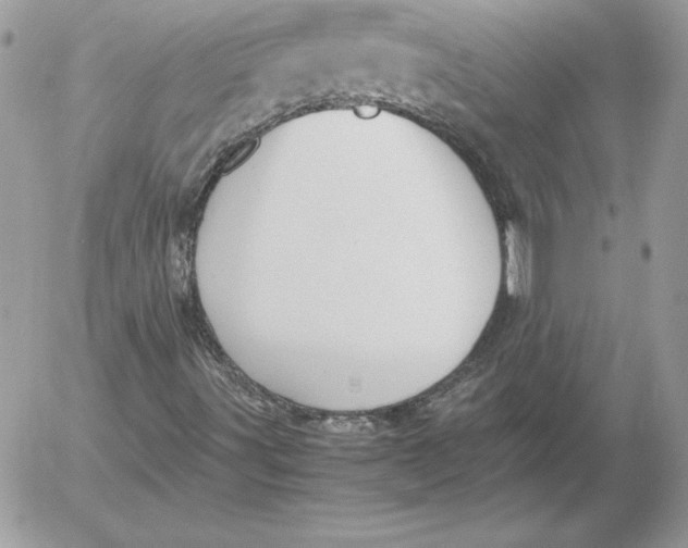 X0000052611491200507221646