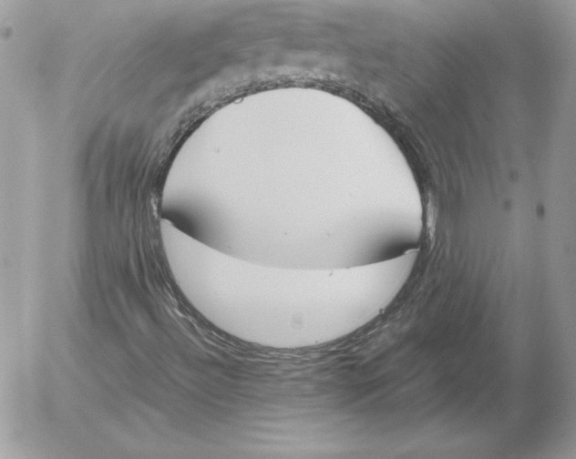 X0000052611492200507221646