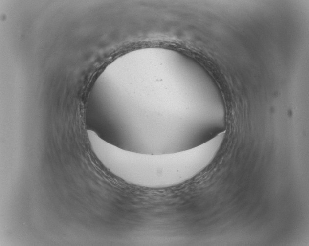 X0000052611493200507221646