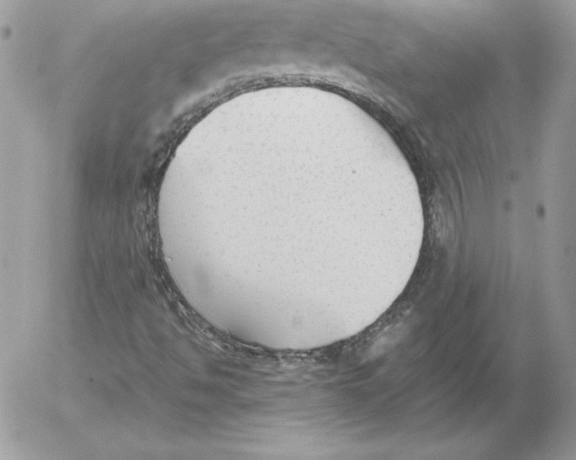 X0000052611494200507221646