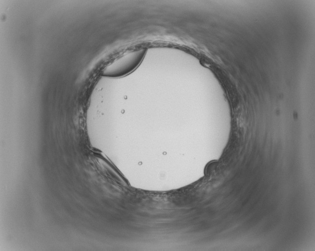 X0000052611495200507221646