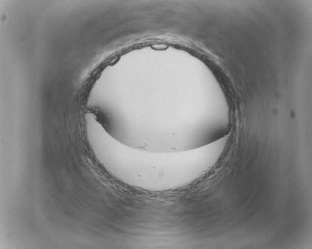 X0000052611496200507221646