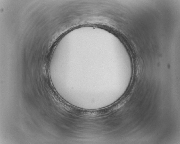 X0000052611497200507221646