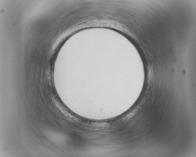 X0000052611498200507221646