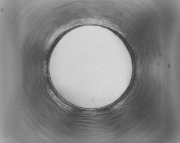 X0000052611499200507221646