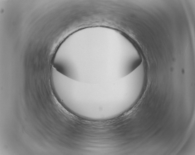 X0000052611500200507221646