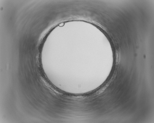 X0000052611502200507221646