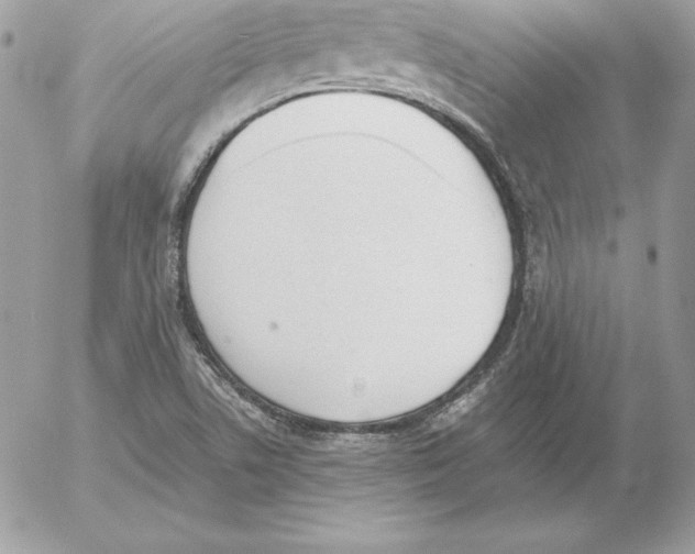 X0000052611506200507221646