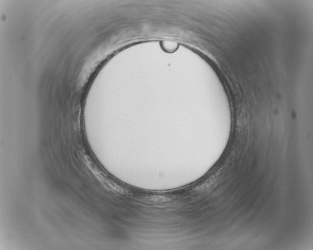 X0000052611507200507221646