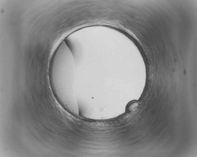 X0000052611508200507221646